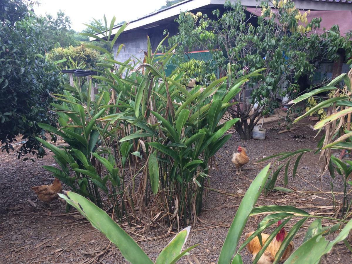 Baan Suan Plearndara Apartment Wang Nam Khiao Bagian luar foto
